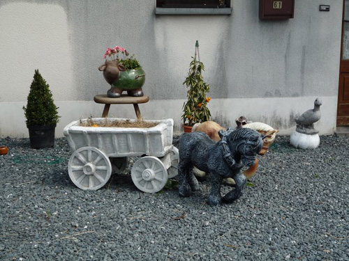 P1000572