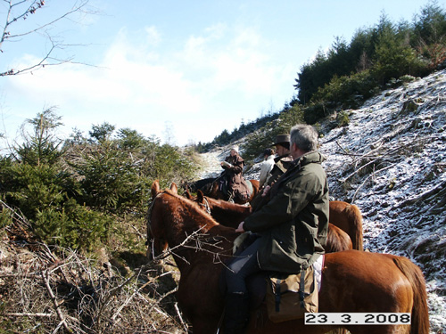 Photo 041