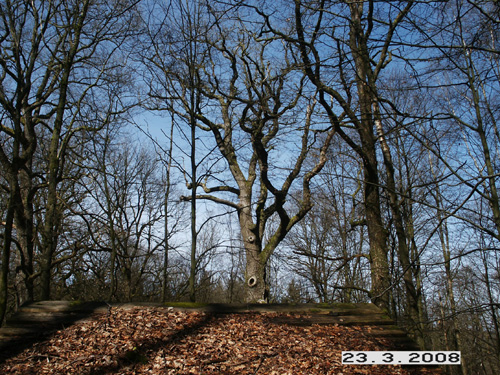 Photo 052