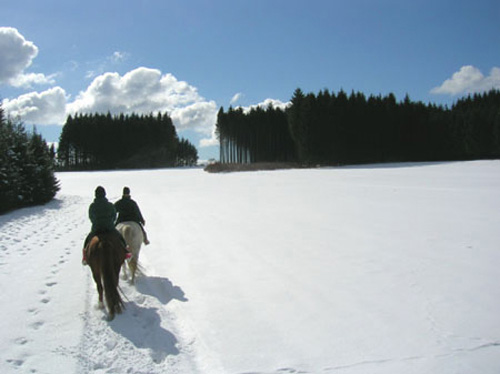 paysage