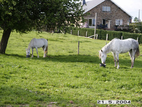 petit_dejeune1