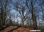 Photo 052