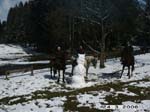 Photo 065
