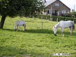 petit_dejeune1